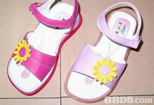 2019年香港寵物X光價(jià)格及商戶(hù)聯(lián)系資訊解析